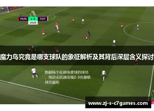 魔力鸟究竟是哪支球队的象征解析及其背后深层含义探讨